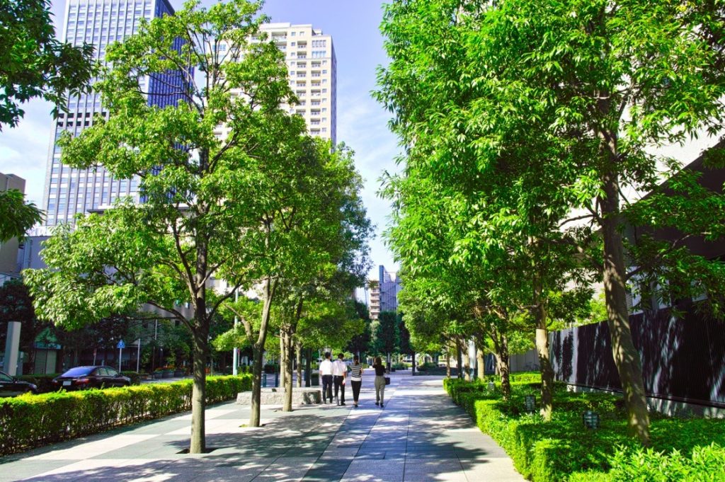 Solutions and Innovation UKGBC