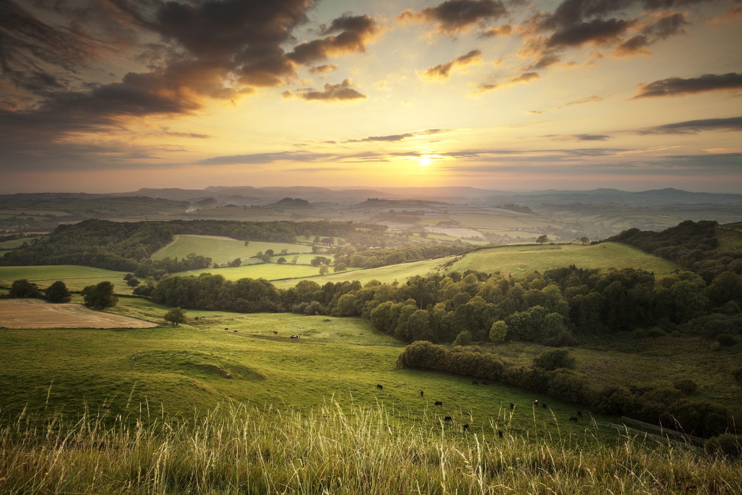 UKGBC responds to DEFRA’s land use consultation